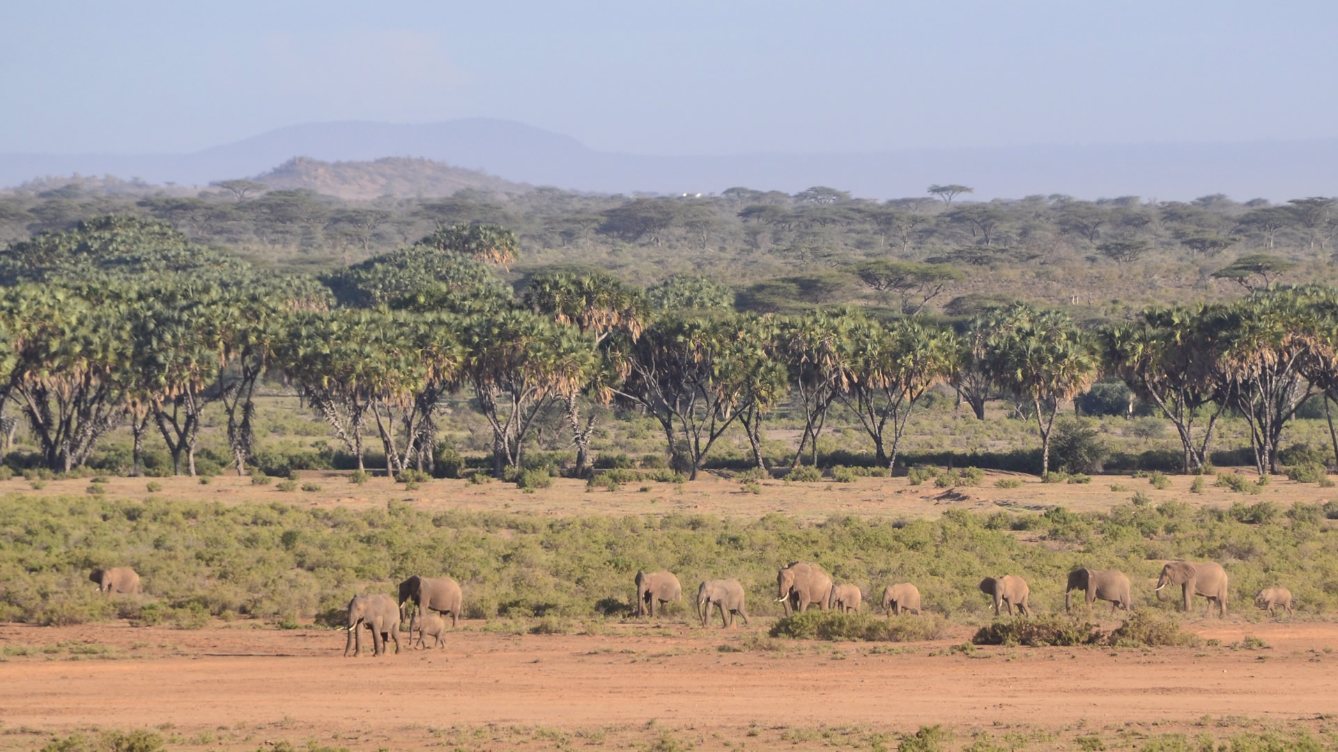 10 days express kenya safari