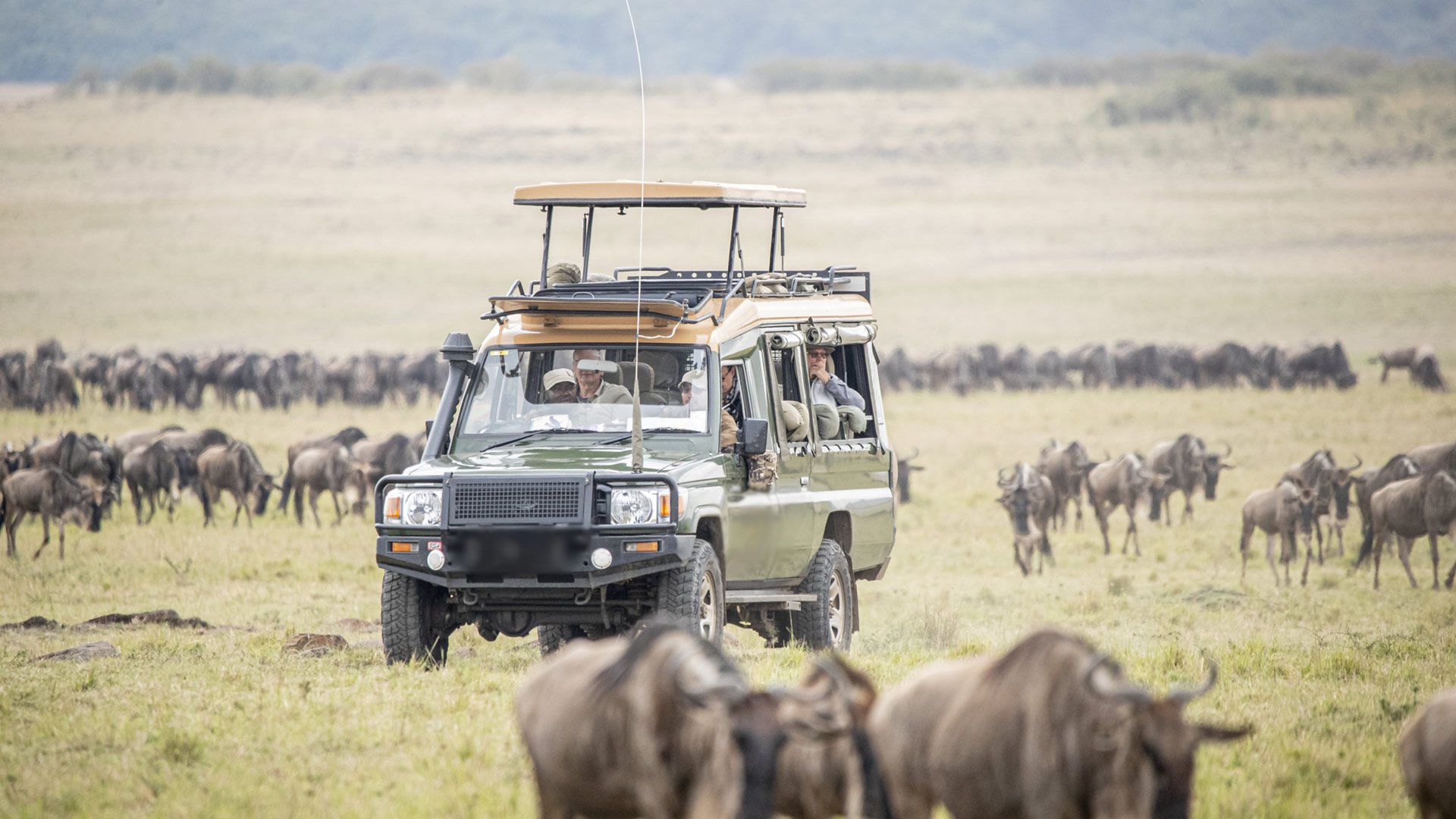 11 days wilderness adventure