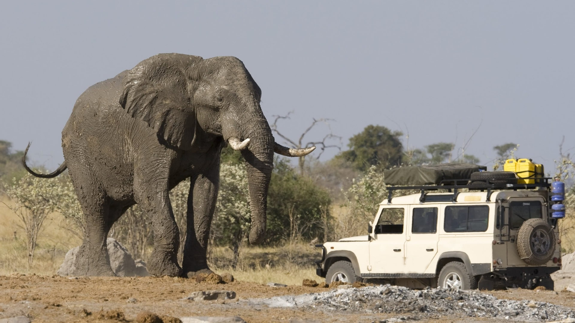 12 days baobab safari experience