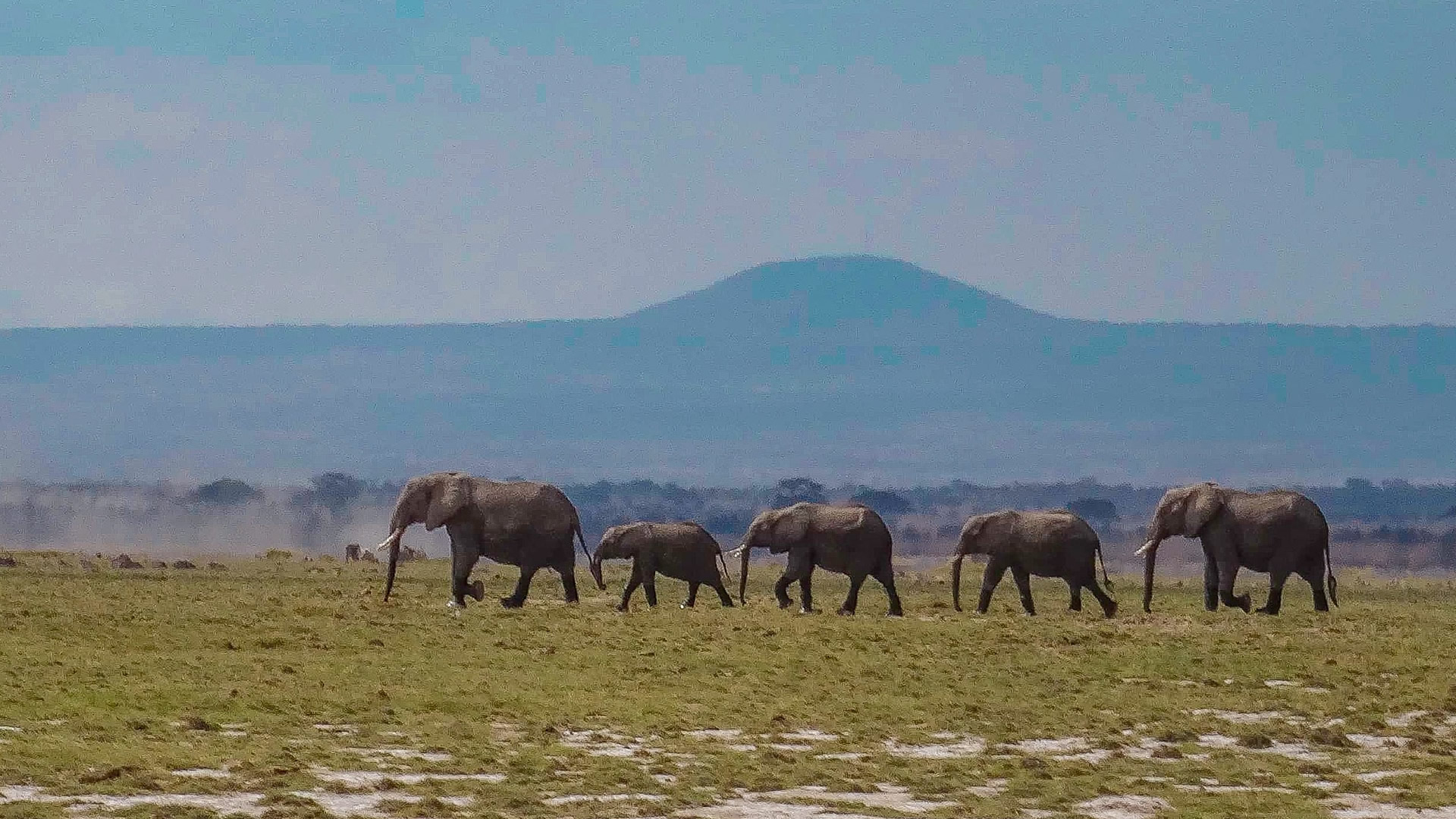 3 days amboseli experience