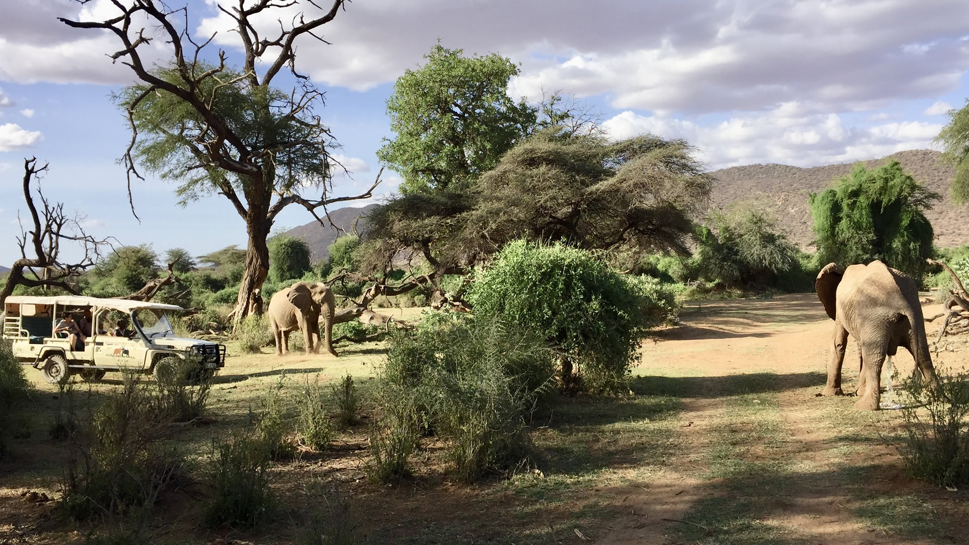 3 days samburu camping safari