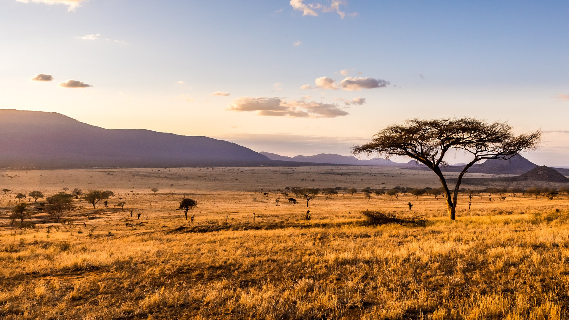 3 days tsavo expedition