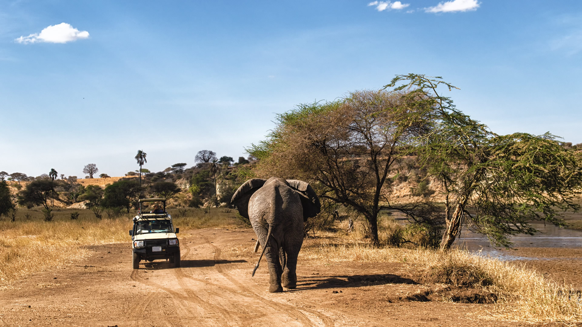 5 days tanzania jambo safari