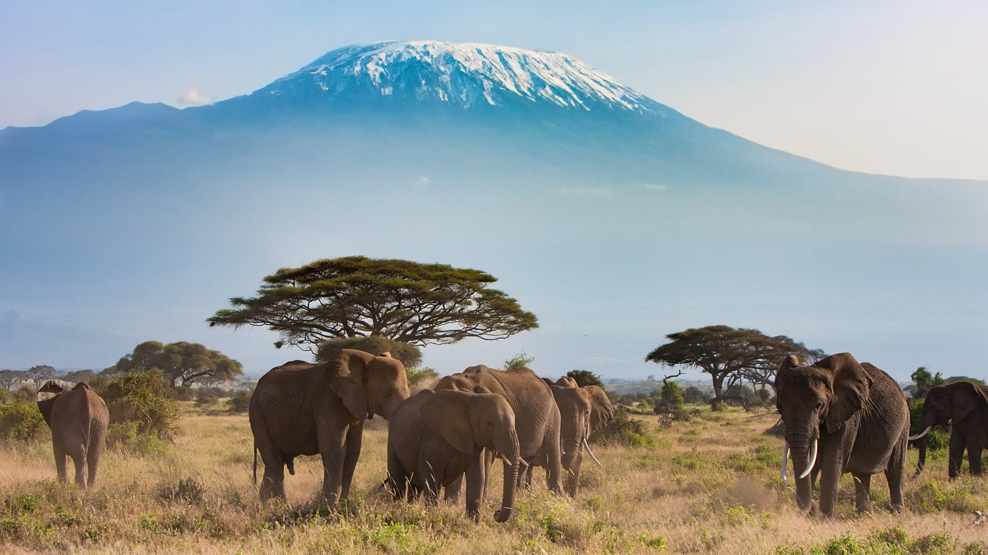 6 days classic kenya camping safari