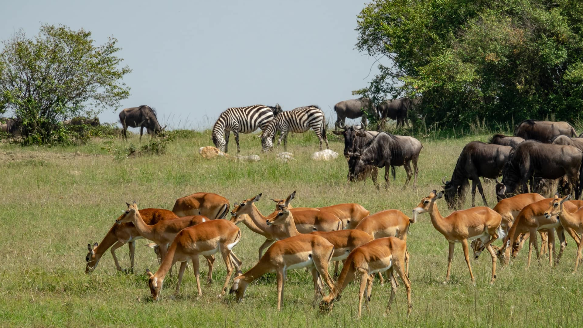 6 days classic kenya experience