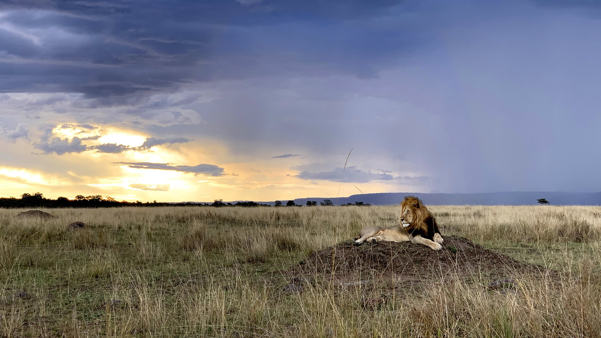 8 days kenya horizons safari
