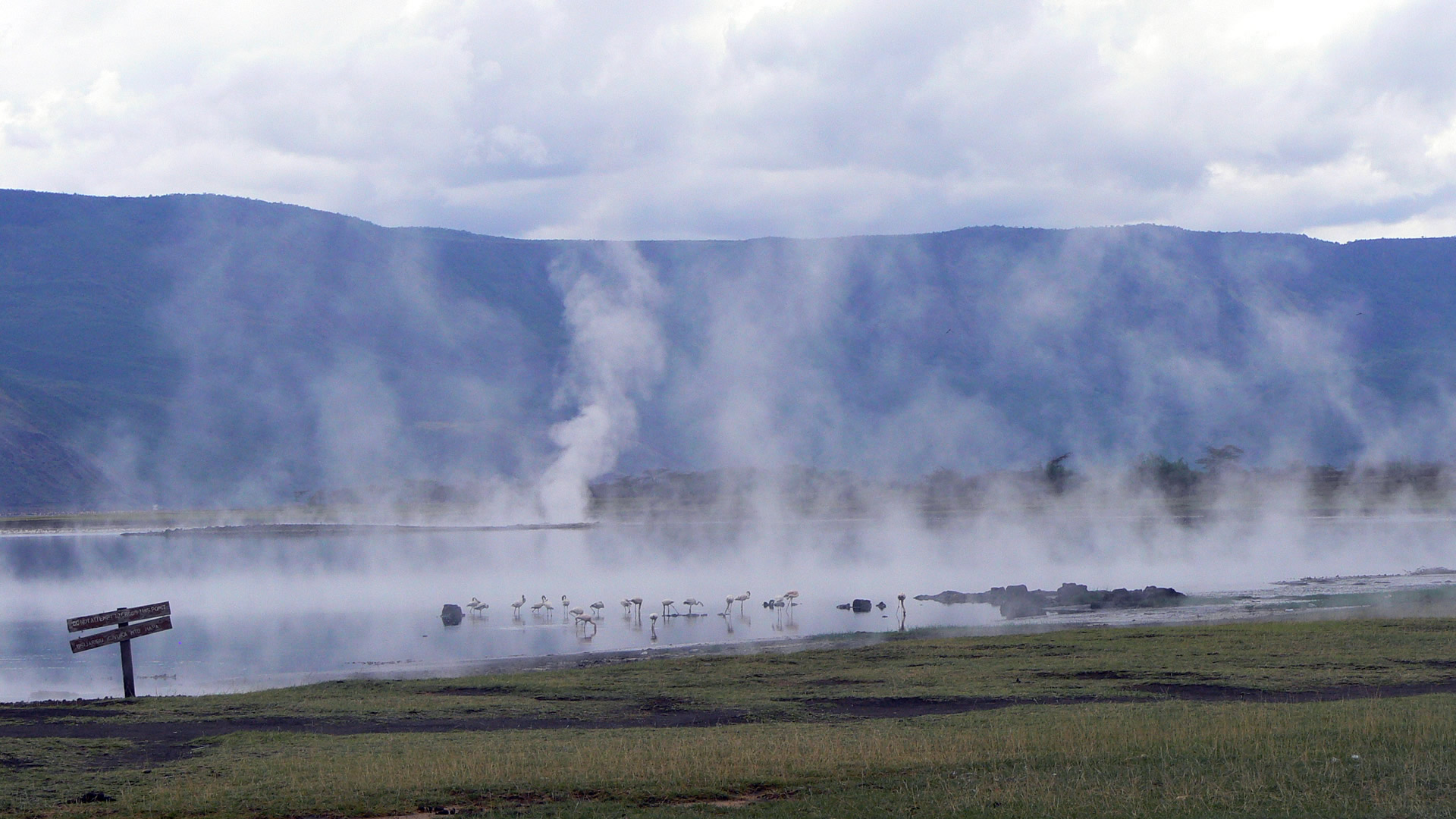 8 days kenya horizons safari