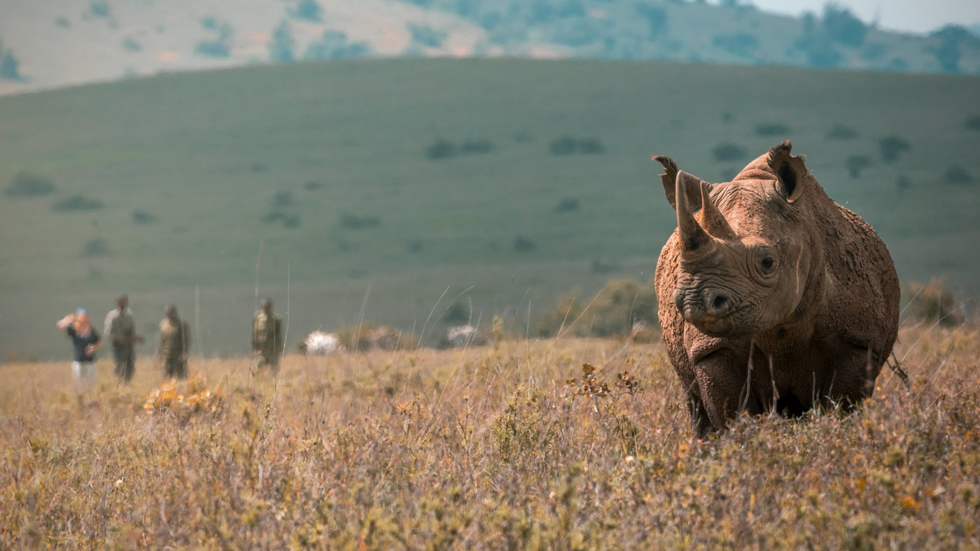 8 days samburu sweetwaters naivasha nakuru mara