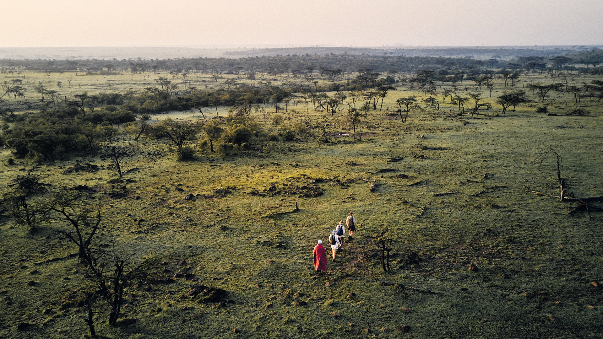 8 days ultimate camping safari