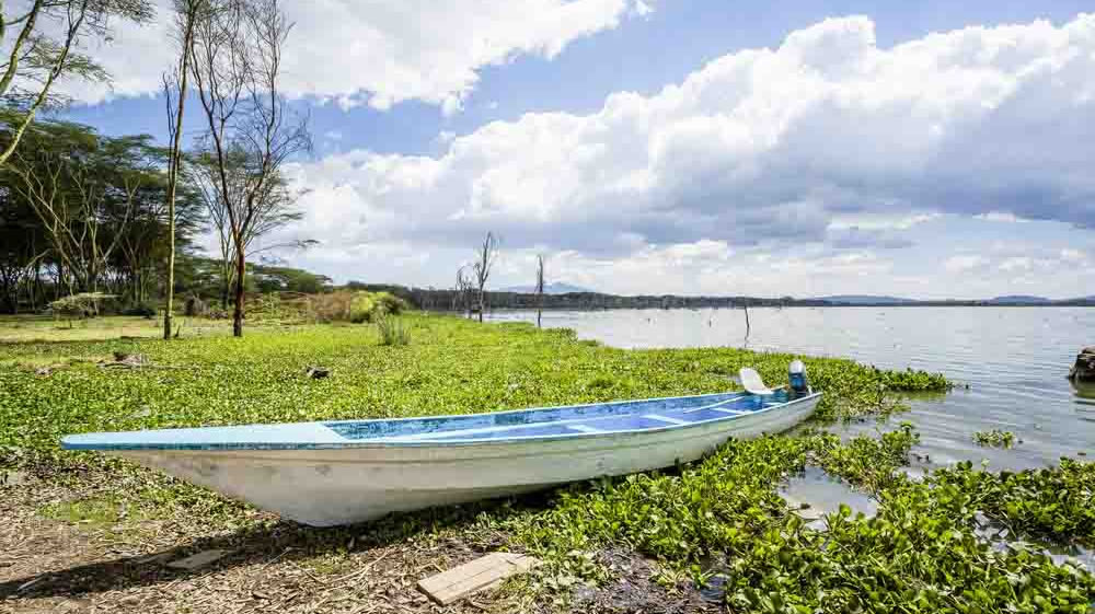 lake naivasha