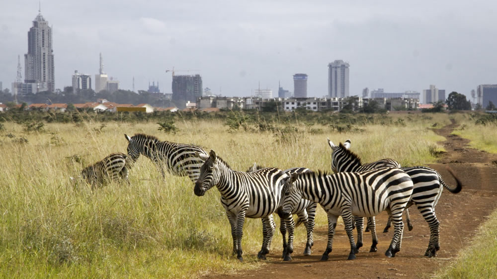 nairobi national park