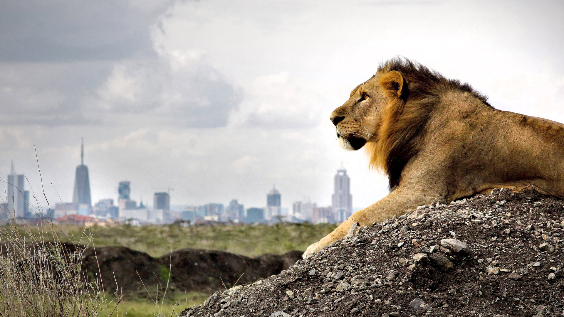 nairobi national park