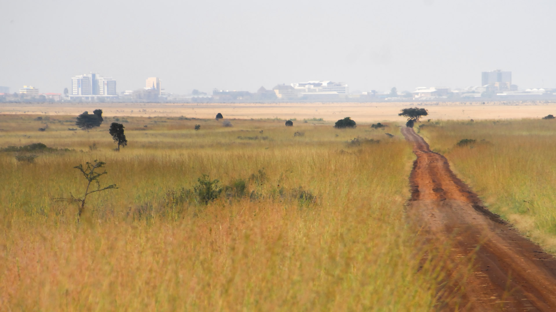 nairobi national park